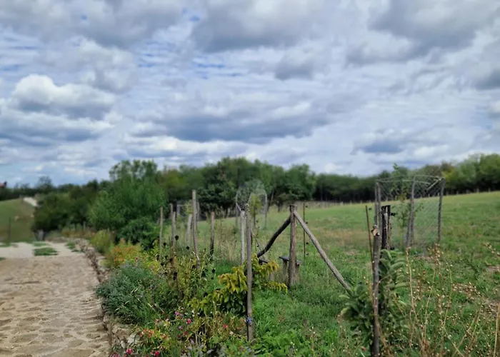 Appartement Etno Drvenko Kragujevac