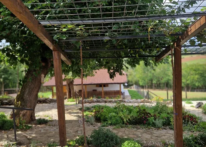 Etno Drvenko * Kragujevac