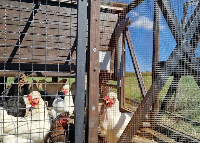 Etno Drvenko Kragujevac