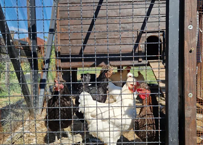 Appartement Etno Drvenko