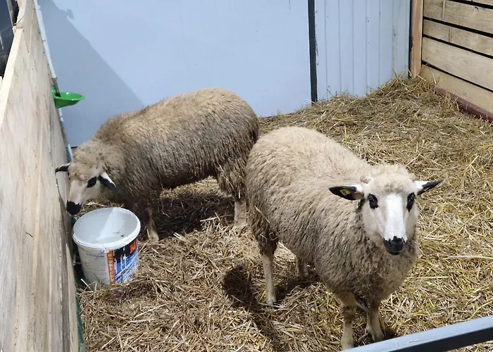 Appartement Etno Drvenko *