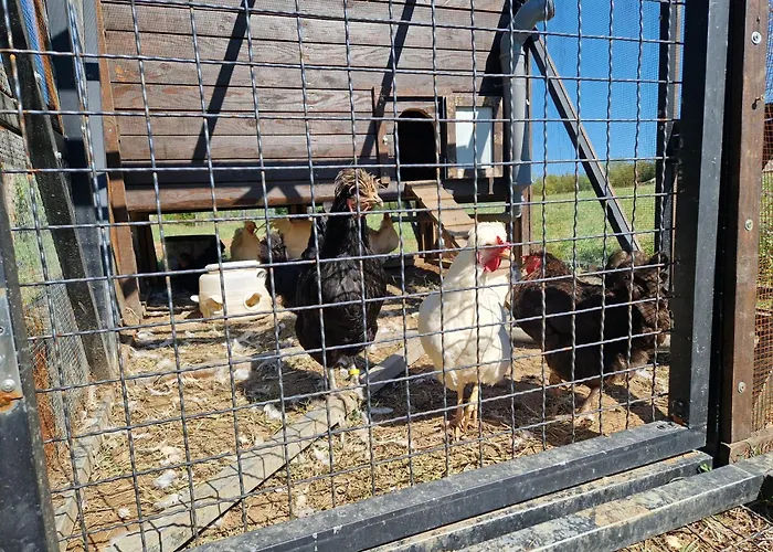 Etno Drvenko Appartement