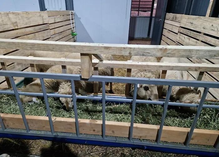 Etno Drvenko Appartement Kragujevac