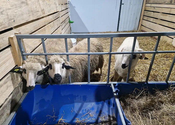 Etno Drvenko Kragujevac