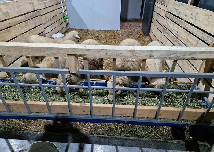 Appartement Etno Drvenko