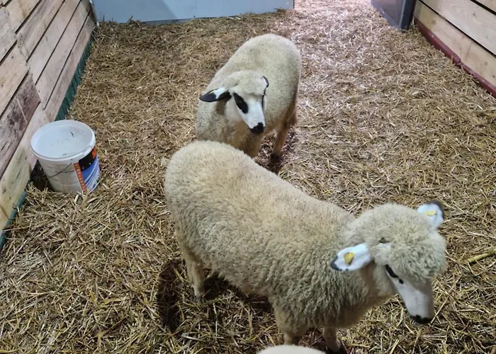 Appartement Etno Drvenko Kragujevac