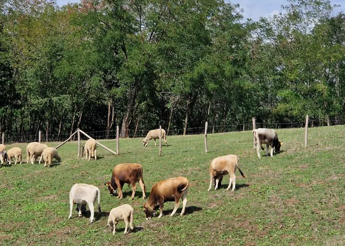 Etno Drvenko Appartement *