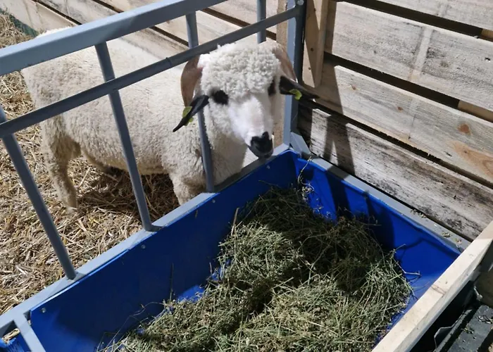 Etno Drvenko Appartement Kragujevac