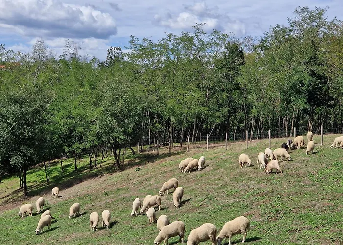 Etno Drvenko * Kragujevac