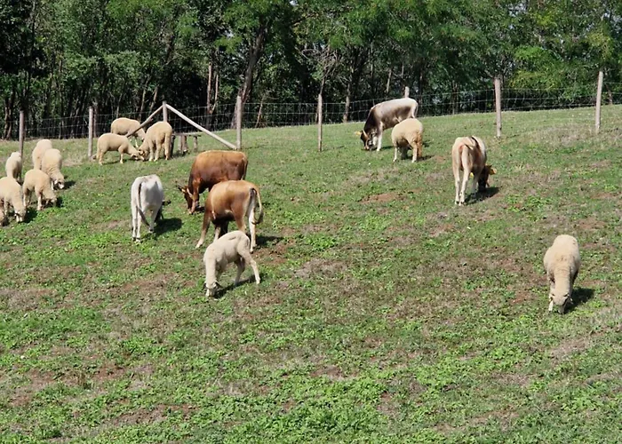 Appartement Etno Drvenko *