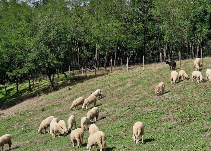 Etno Drvenko Appartement *