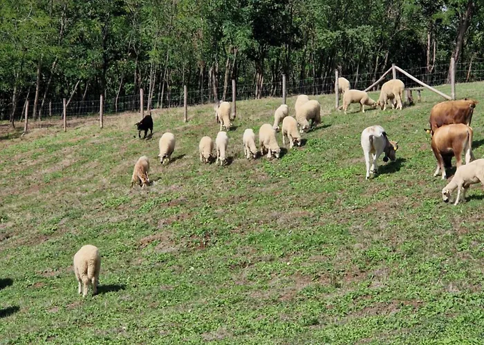 Appartement Etno Drvenko *