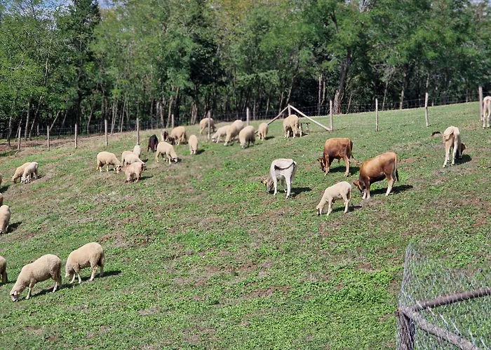 Appartement Etno Drvenko *