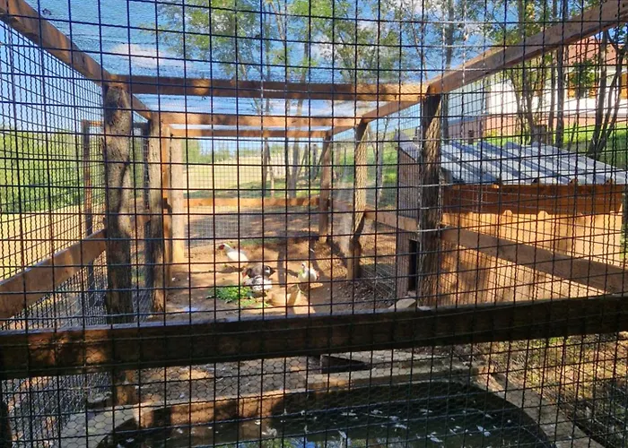 Etno Drvenko Kragujevac