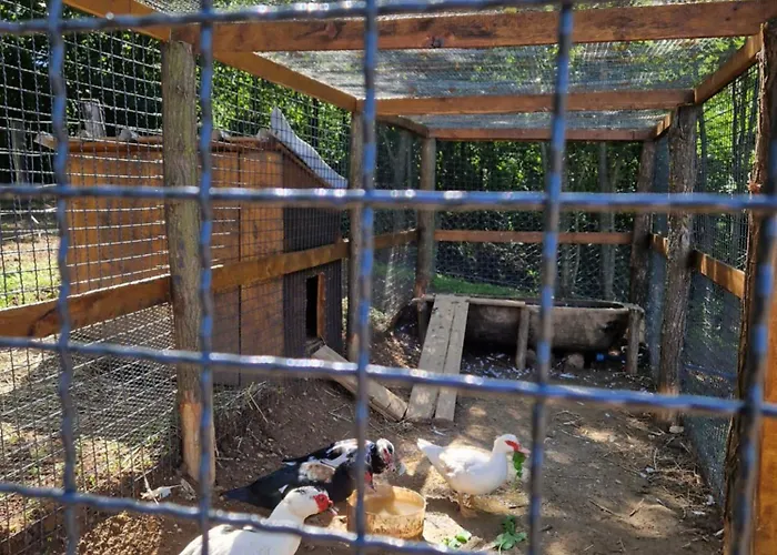 Etno Drvenko Kragujevac