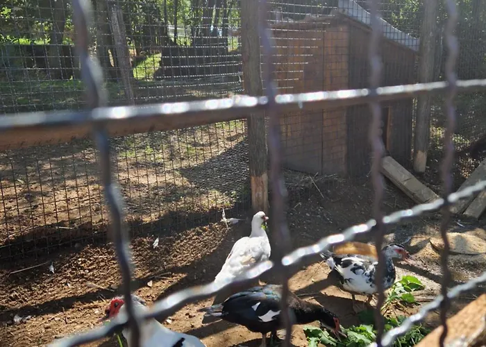 Appartement Etno Drvenko *