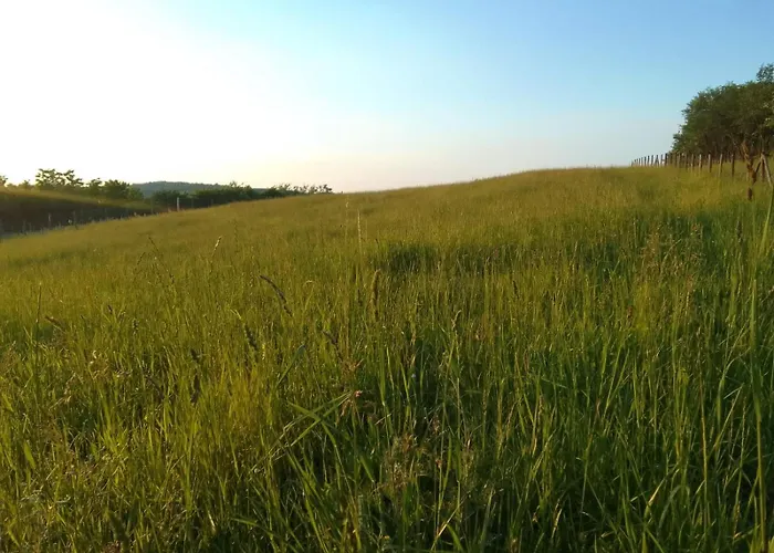 Etno Drvenko Appartement Kragujevac