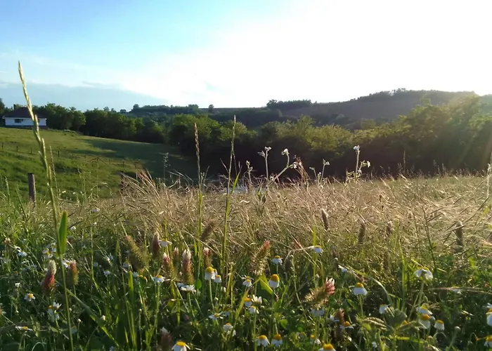 Appartement Etno Drvenko *