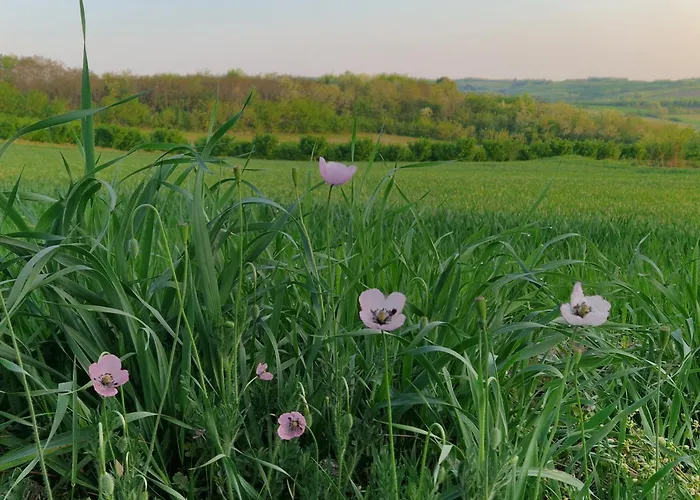 Etno Drvenko Appartement Kragujevac