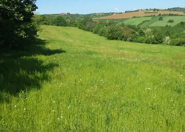 Etno Drvenko Appartement Kragujevac