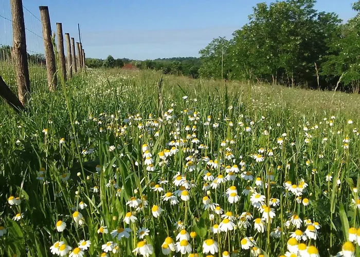 Etno Drvenko Appartement