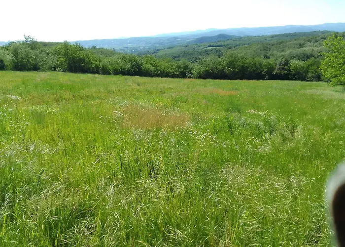 Etno Drvenko Appartement *