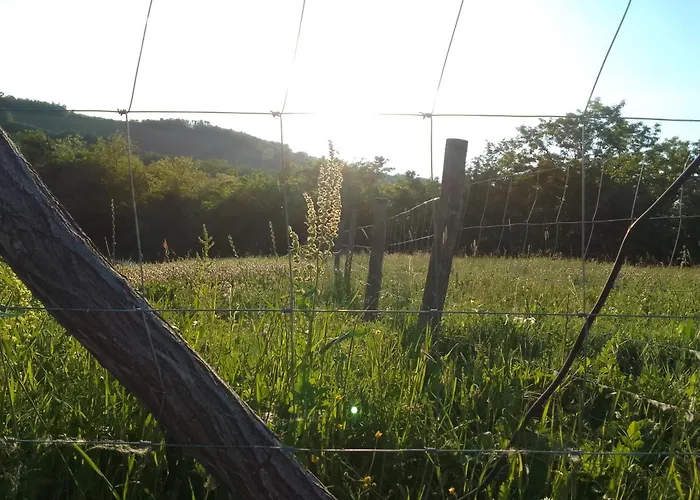 Etno Drvenko Appartement Kragujevac