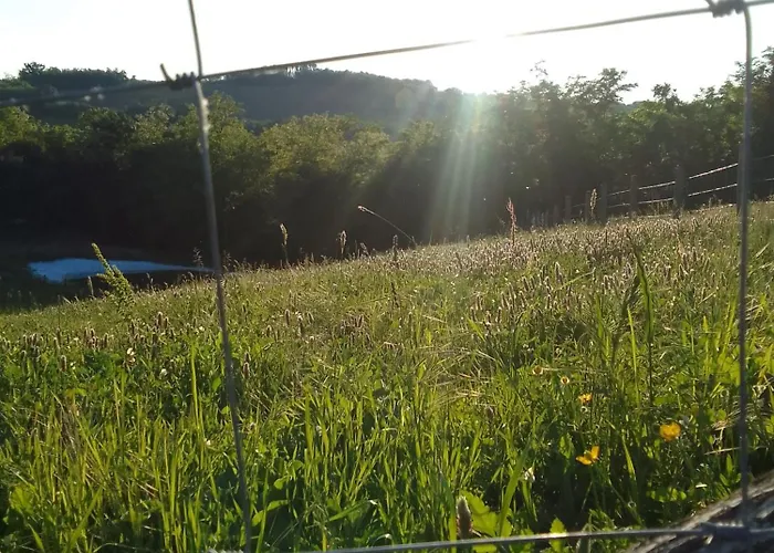 Etno Drvenko Appartement