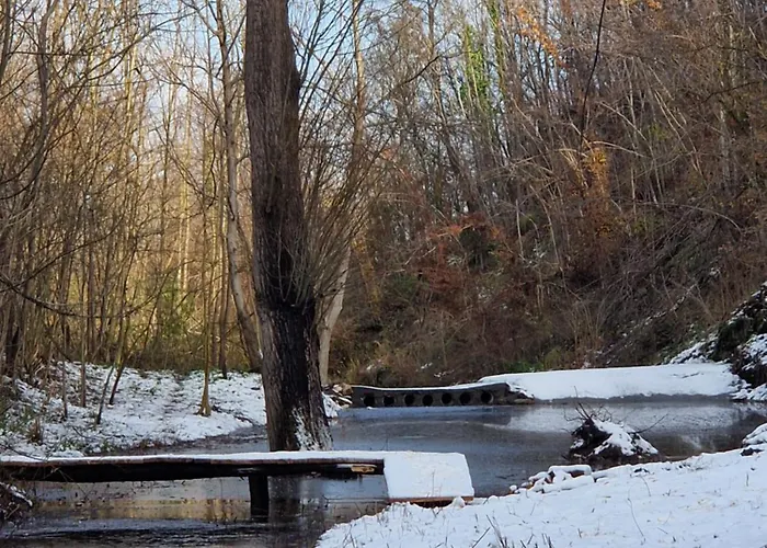 Etno Drvenko * Kragujevac